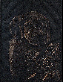 Puppy with roses