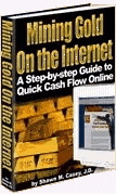 Mining Gold on the Internet book, ebook.