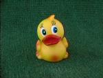 Cute little duck with big blue eyes and eyelashes. This one has an orange beak
