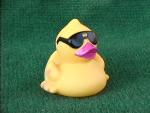 Race duck with a magenta beak and in a lighter yellow shade