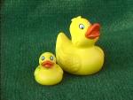 I found these ducks at Longs, one of the best stores known to man, at Easter time. Easter is always good for ducks