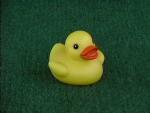 This duck has black eyes with a little white pupil inside. Hmm backwards
