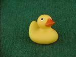 This is the small classic duck that was seen everywhere once ducks became popular for the mass populace. They are cute little ducks though, fitting nicely in your hand