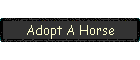 Adopt A Horse