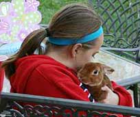 Older children with a sweatshirt on can hold a bunny with supervision