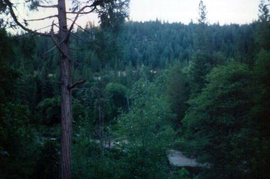 Spanish Creek in Plumas National Forest