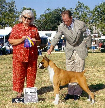 Copper wins Best of Breed to finish his Championship just 14 months old - 6/23/02. I am so proud of this handsome boy.