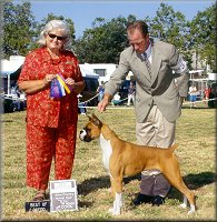Copper wins Best of Breed and is a New Champion. Click to see the full photo!