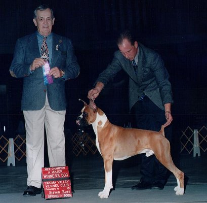 Ch PawPrint's Winning Ways - Diesel