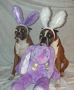  Booker T and Penny wish everyone a peaceful Easter