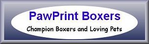 Return to PawPrint California Boxers