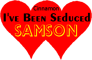 Cinnamon I've Been Seduced logo