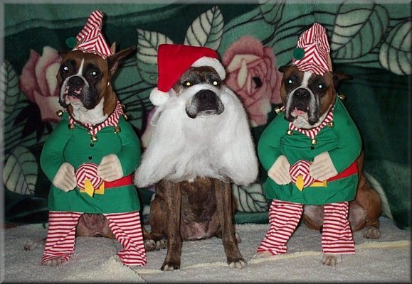 Penny, Crystal and Booker T wish everyone a Merry Christimas!