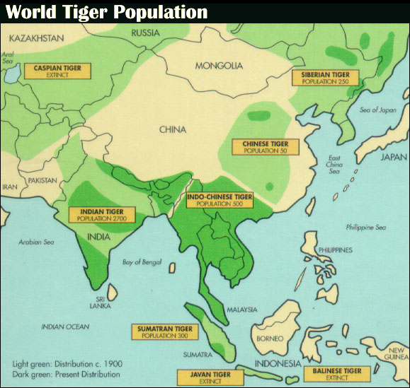 Tiger Distribution Map
