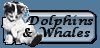 To dolphin & whale sets