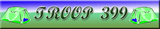 Troop 399 Logo