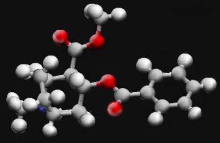 Cocaine Molecule