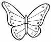 butterflypppattern.jpg (49277 bytes)