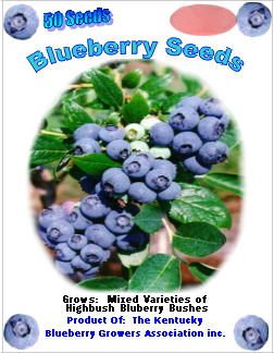 Do blueberries have seeds?