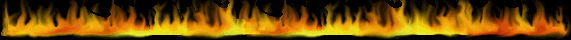 fires.gif (26544 bytes)