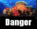 dangers the reefs are in