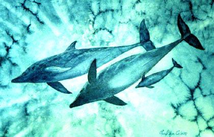Dolphin Painting by Graham Gibbs