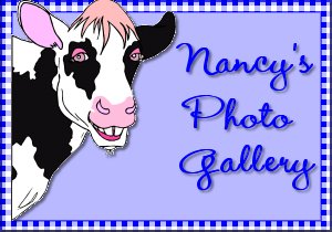 Nancy's Photo Gallery