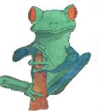 Tree Frog Color Sketch