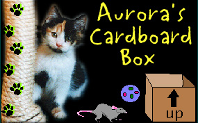 Aurora's Cardboard Box banner