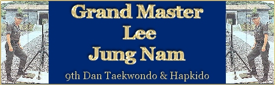 Grand Master Lee banner