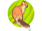 fox image, small version