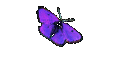 cumshots