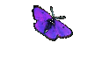 dick pics
