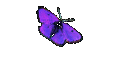 nude pics