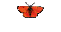 nude pics