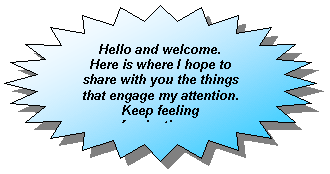 24-Point Star: Hello and welcome.
Here is where I hope to share with you the things that engage my attention. 
Keep feeling fascination
