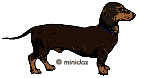 I was adopted from MiniDox.com