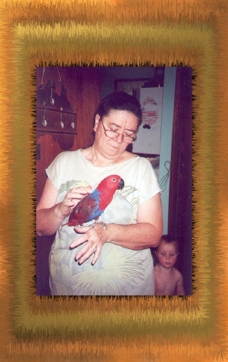 Emily, Cherie & Ej  (never again we will cut any of our birds wings, once we had this done she broke her tail and flight feathers out.) They are just coming back through now