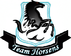 5/7/2003 (Friendly): Rathleff Pimps - Team Horsens 0 - 9