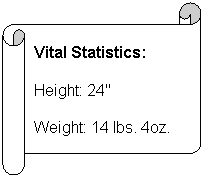 Horizontal Scroll: Vital Statistics:
Height: 24"
Weight: 14 lbs. 4oz.
