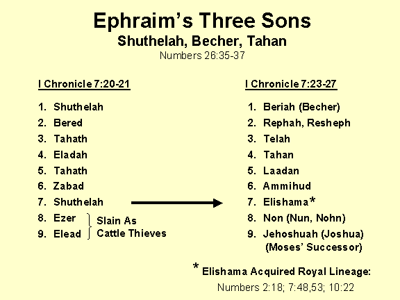 Ephraims 3 sons
