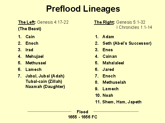 Preflood Lineages