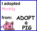 You too can adopt a pig! Just click on it to get yours