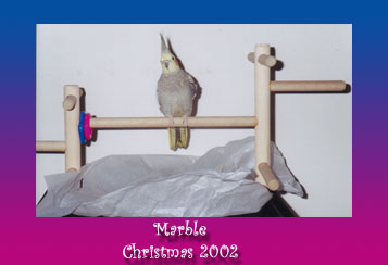 Marble - Christmas 2002