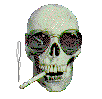 smokin skull