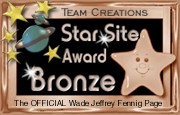Bronze award