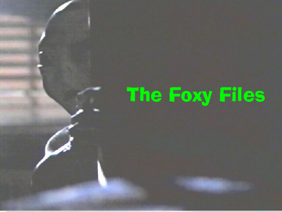 The Foxy Files are a collection of pictures saturated with humor. 