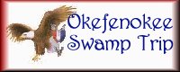 Okefenokee Swamp Trip