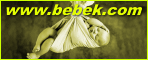 www.bebek.com