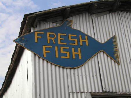 Fresh fish!